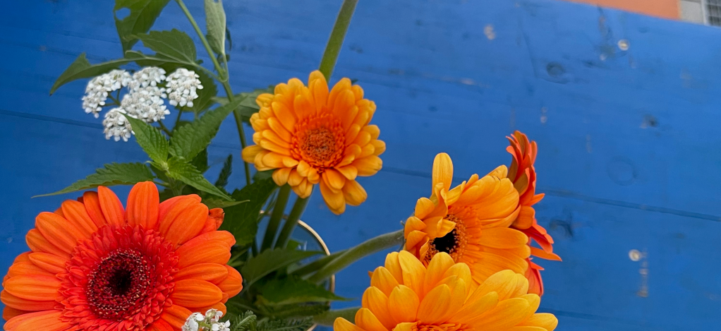 blauer Biertisch, bunte Blumen